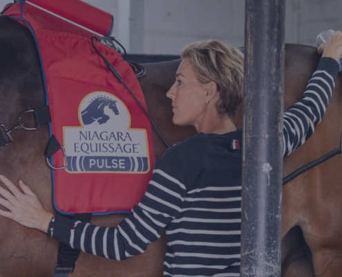 International breeding