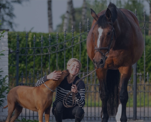 Jumping horses - Home