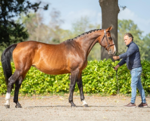 a602a9d8-b7bd-46b0-a615-26718a35d781